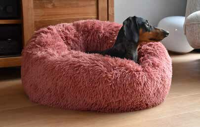 Donut Poilu Kersen