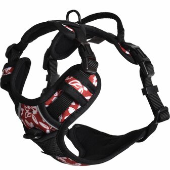 Kattenharnas Rando Monoi Bordeaux Rood