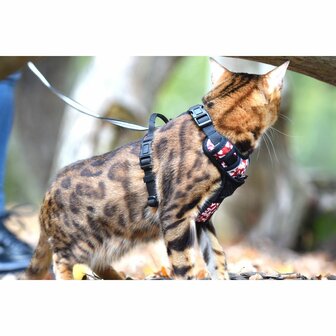 Kattenharnas Rando Monoi Oranje