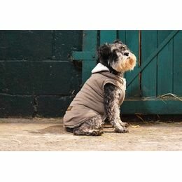 Hondenwinterjas Parka Hazelnoot