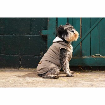 Hondenwinterjas Parka Hazelnoot